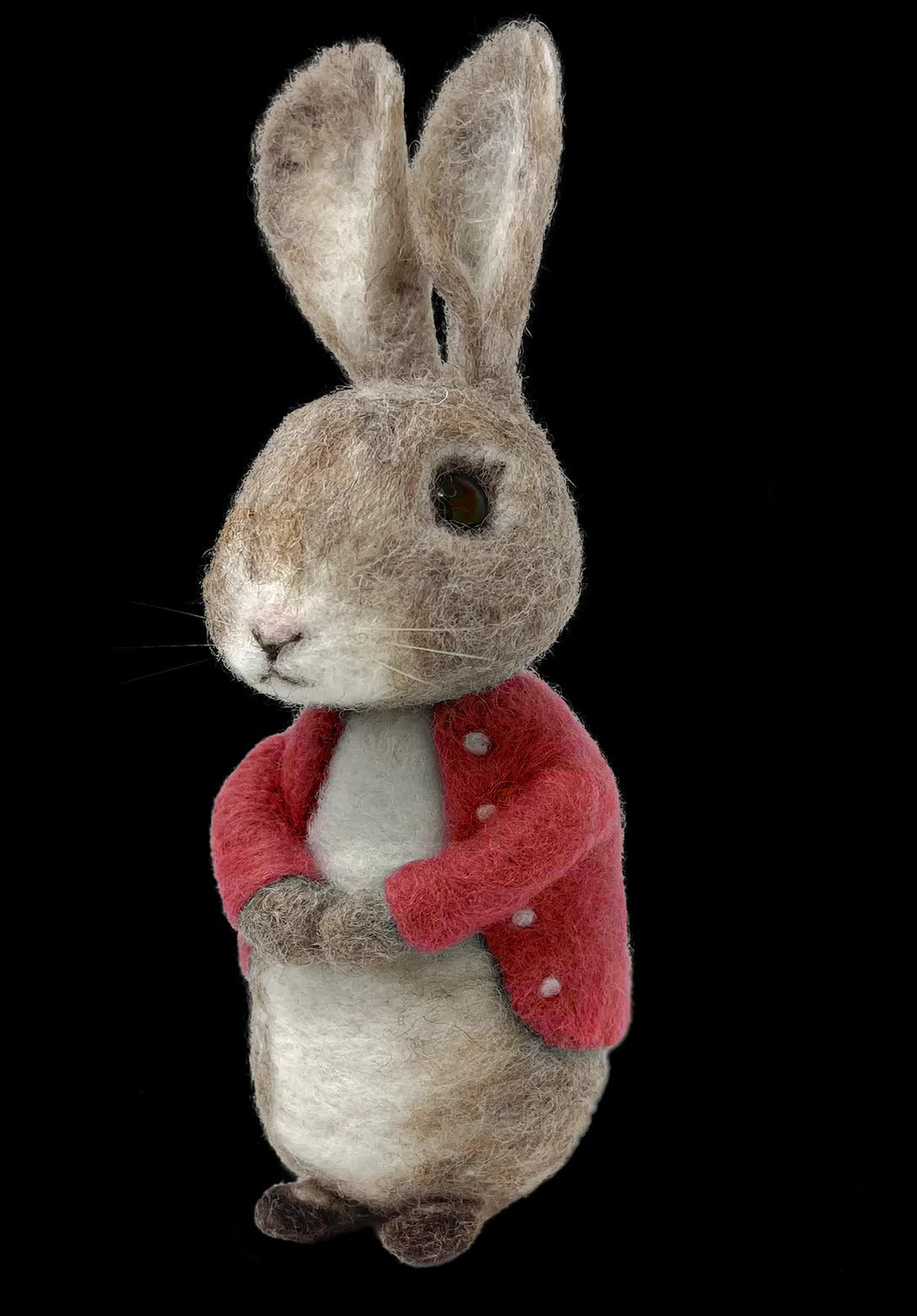 Bertie Bunny Needle Felting Kit