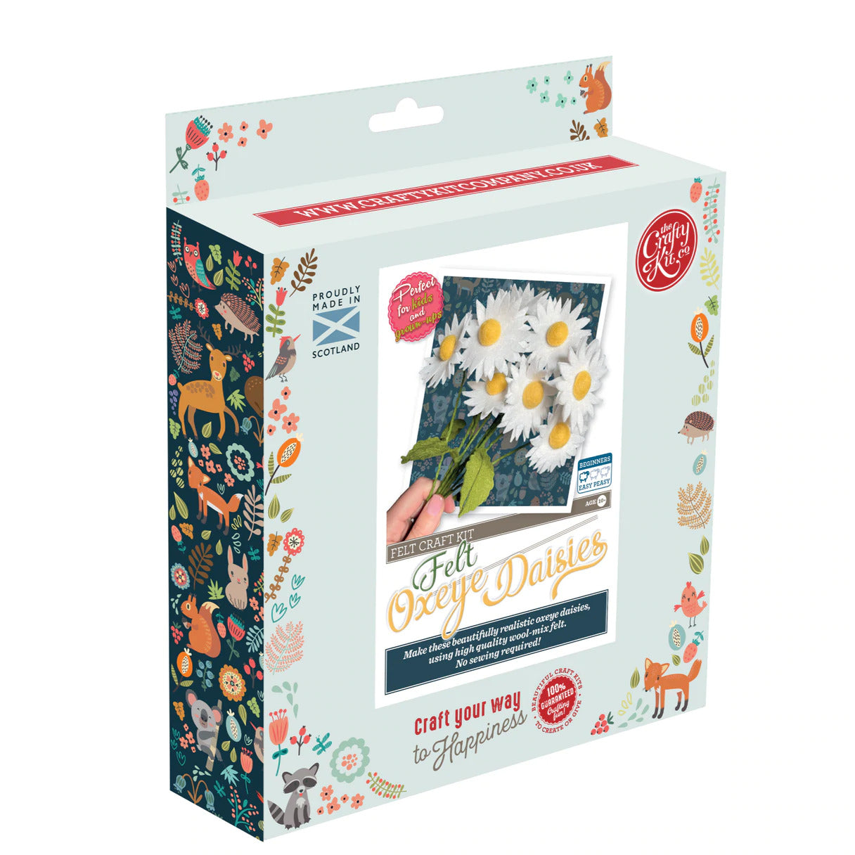 Felt Oxeye Daisies Needle Felting Craft Kit