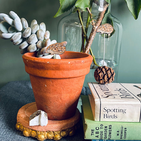 Hedgehog Plant Pot Companions