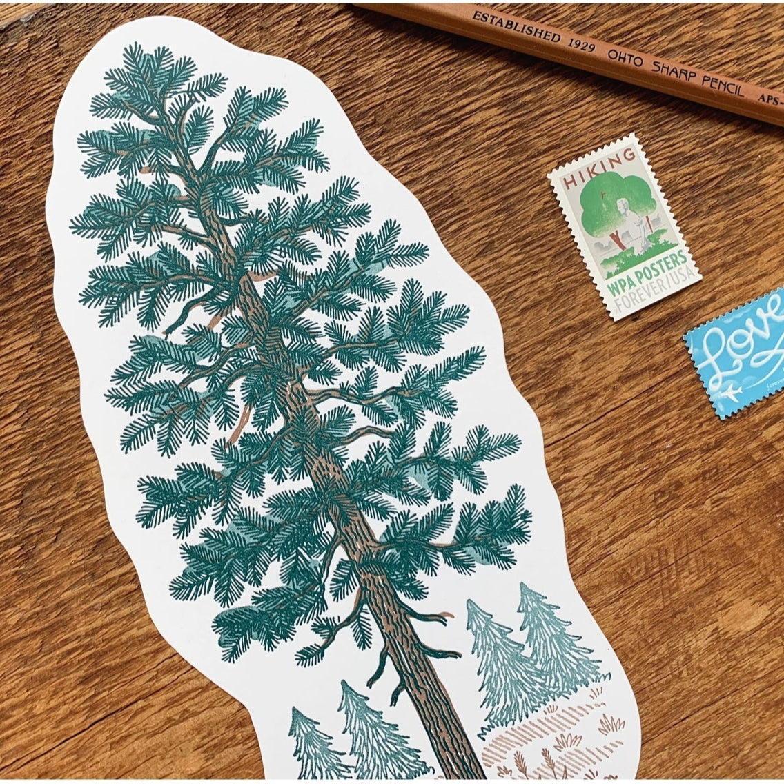 Pine Tree Postcard by Noteworthy Paper & Press 