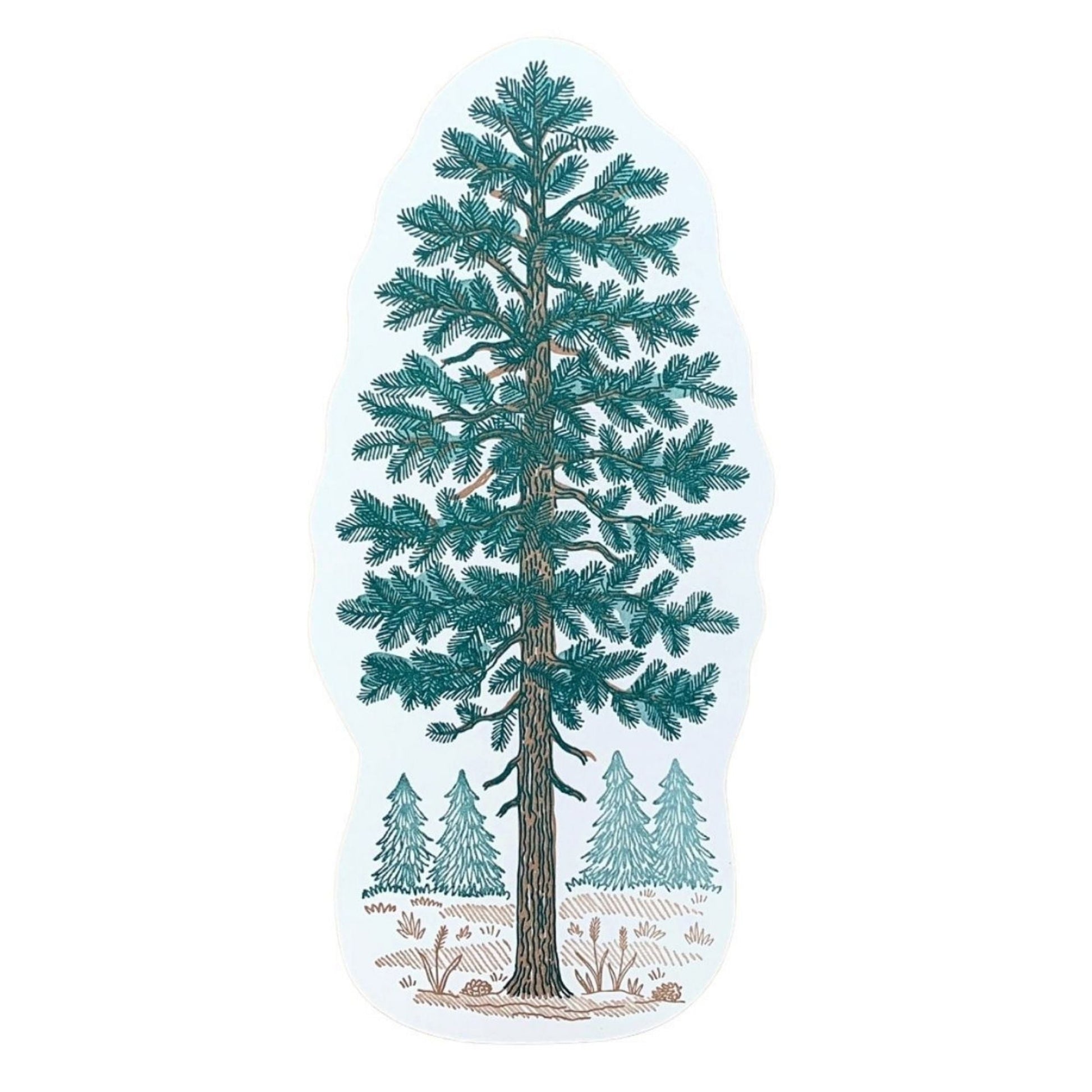 Pine Tree Postcard by Noteworthy Paper & Press - Harold&Charles