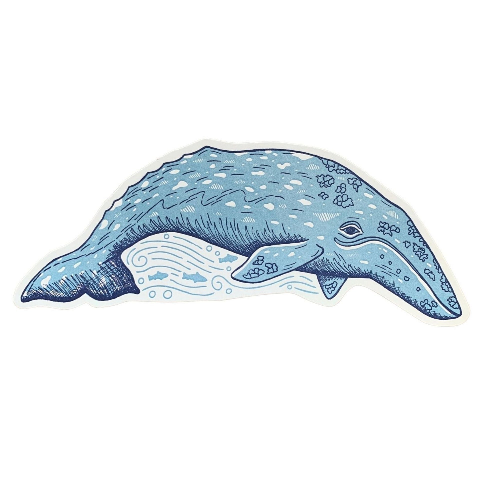 Grey Whale Postcard by Noteworthy Paper & Press - Harold&Charles