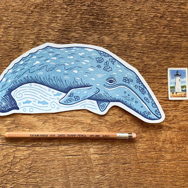 Grey Whale Postcard by Noteworthy Paper & Press