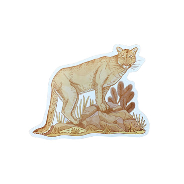 Mountain Lion Postcard by Noteworthy Paper & Press