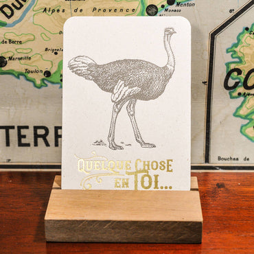 Greeting Card Something in You Ostrich by L'Atelier Letterpress