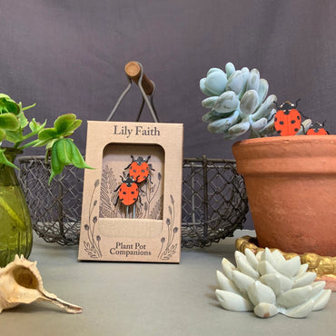 Ladybird Plant Pot Companions