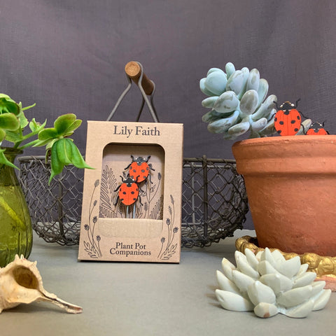 Ladybird Plant Pot Companions