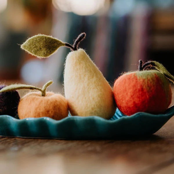 Seasonal Fruits Needle Felting Kit