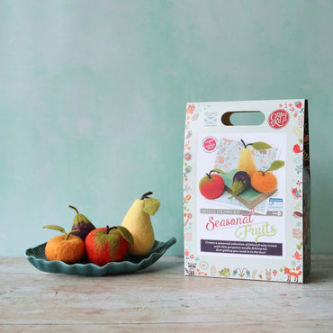 Seasonal Fruits Needle Felting Kit